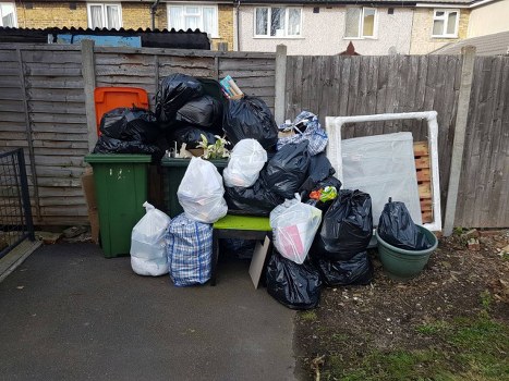 Benefits of professional waste removal services